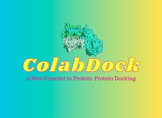 Meet ColabDock: A New Framework Integrating AlphaFold and Experimental Restraints for Accurate Protein-Protein Docking ColabDock