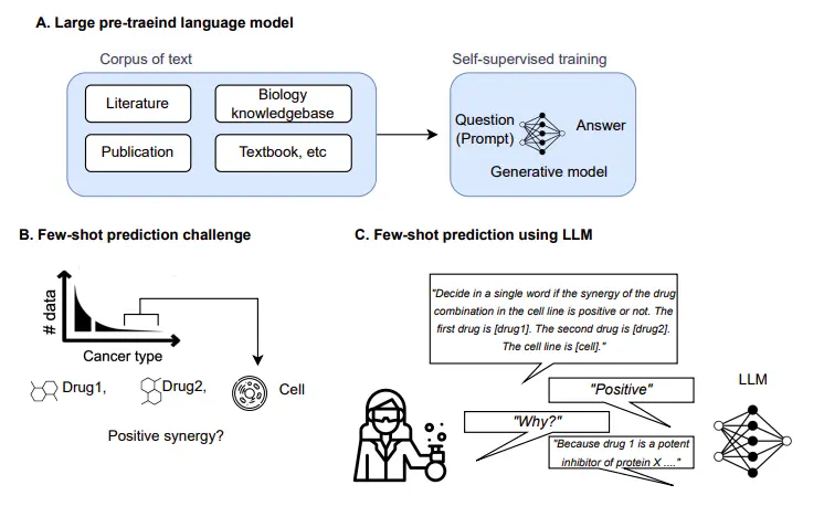 CancerGPT: A New AI Model Uses Large Language Models to Predict Drug Pair Synergy in Rare Cancers