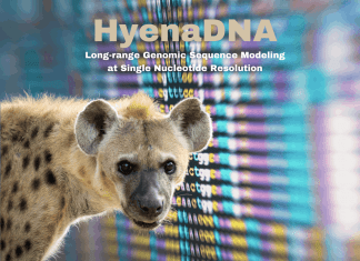HyenaDNA Powers Long-range Genomic Sequence Modeling at Single Nucleotide Resolution HyenaDNA Powers Long-Range Genomic Sequence Modeling at Single Nucleotide Resolution
