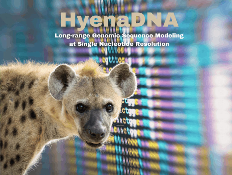 HyenaDNA Powers Long-Range Genomic Sequence Modeling at Single Nucleotide Resolution