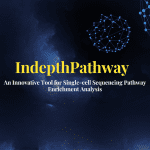 Unlock Cellular Mysteries with IndepthPathway: An Innovative Tool for Single-cell Sequencing Pathway Enrichment Analysis