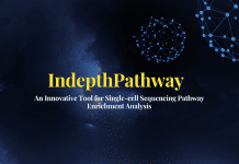 Unlock Cellular Mysteries with IndepthPathway: An Innovative Tool for Single-cell Sequencing Pathway Enrichment Analysis Unlock Cellular Mysteries with IndepthPathway: An Innovative Tool for Single-cell Sequencing Pathway Enrichment Analysis
