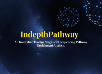Unlock Cellular Mysteries with IndepthPathway: An Innovative Tool for Single-cell Sequencing Pathway Enrichment Analysis Unlock Cellular Mysteries with IndepthPathway: An Innovative Tool for Single-cell Sequencing Pathway Enrichment Analysis