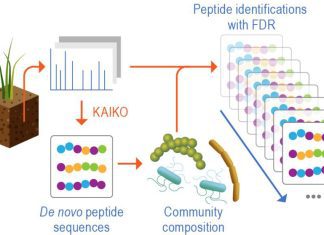 Decoding the Microbial Orchestra: A Breakthrough in Metaproteomic Data Analysis and Soil Microbiome Decoding the Microbial Orchestra: A Breakthrough in Metaproteomic Data Analysis and Soil Microbiome