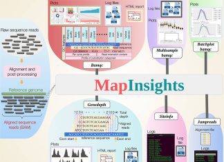 Meet Mapinsights: A New Toolkit for Impeccable Quality Control of High-Throughput Sequencing Data Meet Mapinsights: A New Toolkit for Quality Control of High-Throughput Sequencing Data