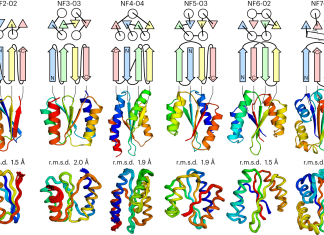 Exploring Uncharted Territory of Protein Folds Through De Novo Protein Design Exploring Uncharted Territory of Protein Folds Through De Novo Protein Design