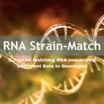 Matching RNA Sequencing Alignment Data to Genotypes Made Easy with RNA Strain-Match