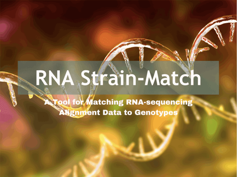 Matching RNA Sequencing Alignment Data to Genotypes Made Easy with RNA Strain-Match