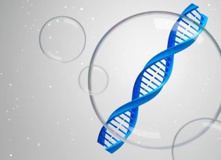 Decoding the Epigenomic Puzzle: Evaluating Computational Pipelines for Single-cell Histone Modification Data Decoding the Epigenomic Puzzle: Evaluating Computational Pipelines for Single-cell Histone Modification Data