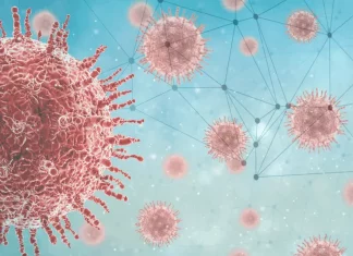 Predicting Immunotherapy Response: Construction and Validation of a Machine Learning-Based Gene Expression Classifier for Primary Triple-Negative Breast Cancer Predicting Immunotherapy Response: Construction and Validation of a Machine Learning-Based Gene Expression Classifier for Primary Triple-Negative Breast Cancer