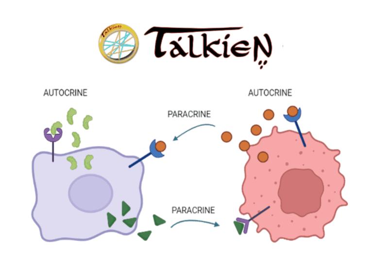 Meet TALKIEN: A New Tool to Decipher Molecular Crosstalk Through Ligand-Receptor Interactions in Cancer