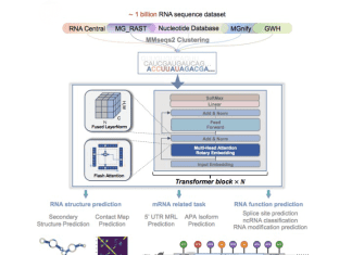 Meet Uni-RNA: Universal Pre-trained Models Transforming the RNA Research Landscape Meet Uni-RNA: Universal Pre-trained Models Transforming the RNA Research Landscape