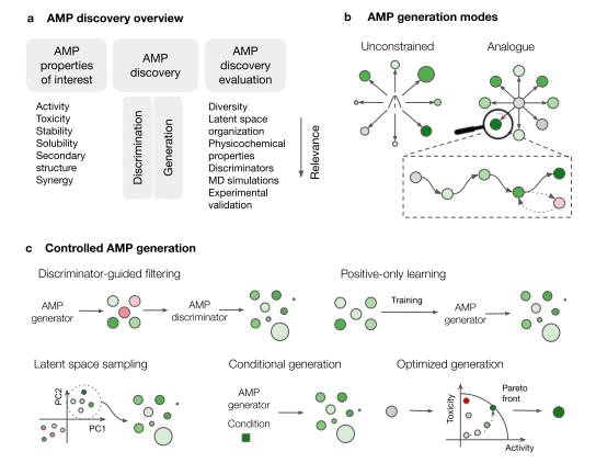 From Algorithms to Antibiotics: Harnessing Artificial Intelligence in the Search for Antimicrobial Peptides