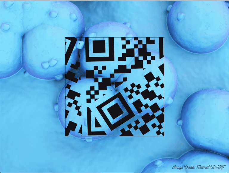 QR Code for Cancer Cells: A New Synthetic Biology Approach for Tracking Tumor Cells