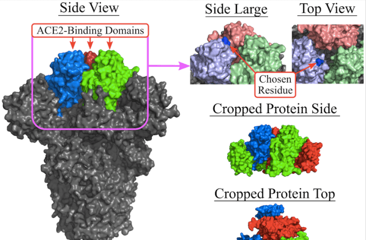 Brock Researchers Develop AI-Powered Tool "DAPTEV" to Design New Aptamer Drugs for COVID-19