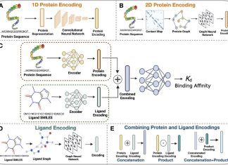 Exploring Deep Learning Methods for Binding Affinity Prediction Across Proteins and Ligands Exploring Deep Learning Methods for Binding Affinity Prediction Across Proteins and Ligands