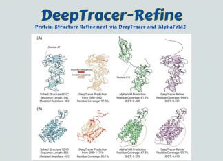 Meet DeepTracer-Refine: An Automated Refinement Approach for AlphaFold2 Predicted Protein Structures Meet DeepTracer-Refine: An Automated Refinement Approach for AlphaFold2 Predicted Protein Structures