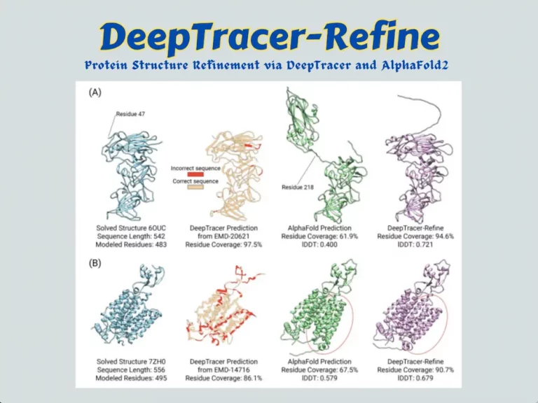 Meet DeepTracer-Refine: An Automated Refinement Approach for AlphaFold2 Predicted Protein Structures