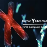Scientists Reveal the First Complete Human Y Chromosome Sequence: A Milestone in Genomics Research