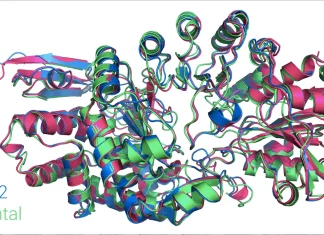 Meet OpenFold: Reimplementing AlphaFold2 to Illuminate Its Learning Mechanisms and Generalization Meet OpenFold: Reimplementing AlphaFold2 to Illuminate Its Learning Mechanisms and Generalization
