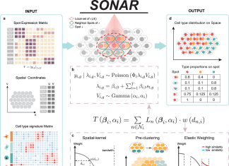 Advancing Spatial Transcriptomic Cell-Type Deconvolution with SONAR: A Spatially Weighted Poisson-Gamma Model Advancing Spatial Transcriptomic Cell-Type Deconvolution with SONAR: A Spatially Weighted Poisson-Gamma Model