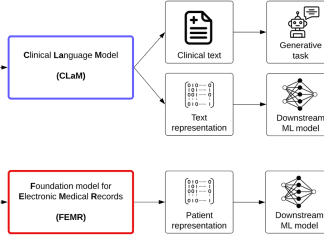 Large Language Models and Foundation Models in Healthcare: Unveiling the Hype and Addressing the Gaps Large Language Models and Foundation Models in Healthcare: Unveiling the Hype and Addressing the Gaps