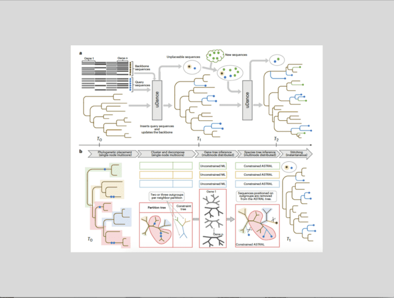 UCSD's uDance: A Scalable Approach for Generating and Updating Phylogenies with Genome-wide Data
