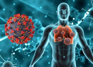 Machine Learning and Phylogenetic Analysis Join Forces to Predict Antibiotic Resistance in Pathogenic Bacteria Machine Learning and Phylogenetic Analysis Join Forces to Predict Antibiotic Resistance in Pathogenic Bacteria