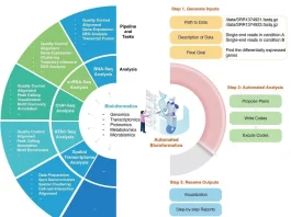 Bioinformatics Analysis Made Easy with a New Tool AutoBA