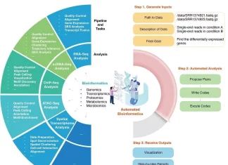 Meet AutoBA: A New Tool Making Bioinformatics Analysis Easy Bioinformatics Analysis Made Easy with a New Tool AutoBA