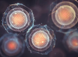 Large Language Models Meet Single Cell Transcriptomics: Unlocking Biological Insights with Cell2Sentence Large Language Models Meet Single-Cell Transcriptomics: Unlocking Biological Insights with Cell2Sentence