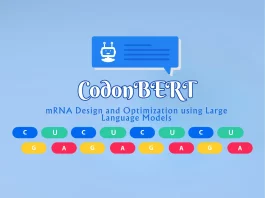 CodonBERT: A New Large Language Model Could Help Design Optimized mRNA Vaccines and Therapeutics