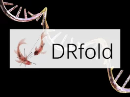 Meet DRfold: A Novel Method to Predict RNA Tertiary Structure with Unprecedented Accuracy