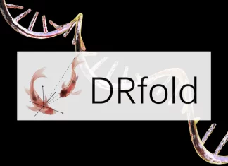 Meet DRfold: A Novel Method to Predict RNA Tertiary Structures with Unprecedented Accuracy Meet DRfold: A Novel Method to Predict RNA Tertiary Structure with Unprecedented Accuracy