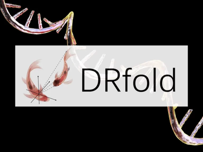 Meet DRfold: A Novel Method to Predict RNA Tertiary Structure with Unprecedented Accuracy