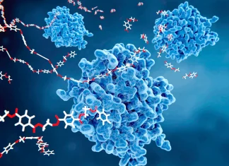 Using EzMechanism to Unravel the Mysteries of Enzyme Catalysis Using EzMechanism to Unravel the Mysteries of Enzyme Catalysis
