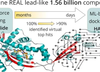 Machine Learning Model ‘HASTEN’ Enables Giga-Scale Virtual Screening of Enumerated Chemical Libraries Machine Learning Model 'HASTEN' Enables Giga-Scale Virtual Screening of Enumerated Chemical Libraries
