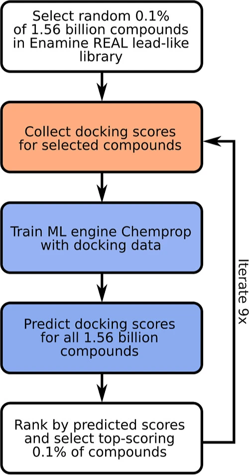 Machine Learning Model 'HASTEN' Enables Giga-Scale Virtual Screening of Enumerated Chemical Libraries