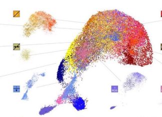 MitoSpace: A Novel Mitochondrial Phenotypic Atlas for Drug Discovery and Diagnostics MitoSpace creates the first atlas of drug-induced mitochondrial phenotypes.
