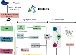 Integrative Multi-Omics Analysis Reveals Molecular Responses to PARP Inhibition: A Focus on Thermal Proteome Profiling Integrative Multi-Omics Analysis Reveals Molecular Responses to PARP Inhibition: A Focus on Thermal Proteome Profiling