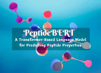 PeptideBERT: A Transformer-based Language Model for Predicting Peptide Properties using Amino Acid Sequences PeptideBERT, a Transformer-based Language Model for Predicting Peptide Properties using Amino Acid Sequences Only