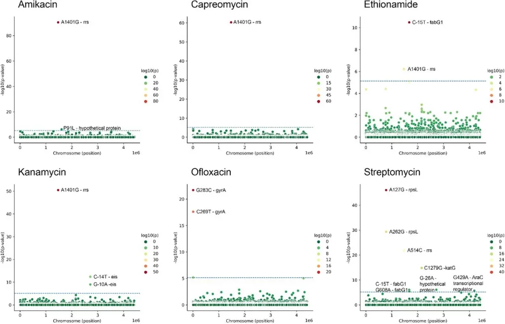 Machine Learning and Phylogenetic Analysis Join Forces to Predict Antibiotic Resistance in Pathogenic Bacteria