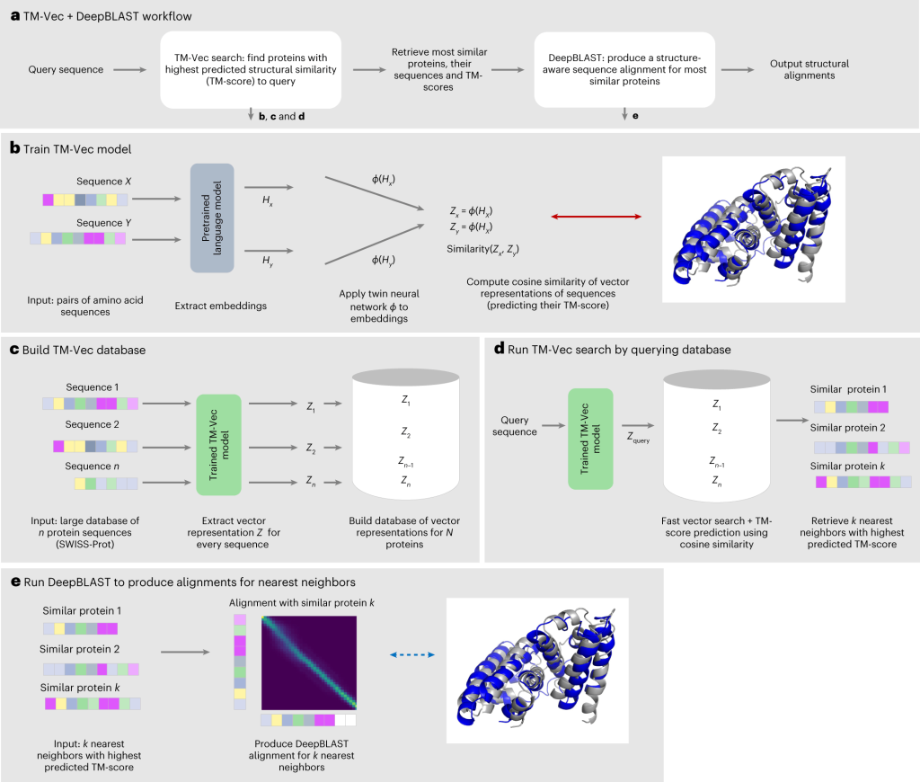 Deep Learning Powers New Methods for Protein Remote Homology Detection and Structural Alignment