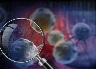 Meet XVir: A Promising Transformer-based Approach to Spot Viral Reads in Human Cancer Samples Meet XVir: A Promising Transformer-based Approach to Identify Viral DNA in Human Cancer Samples