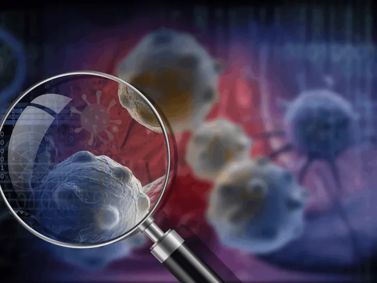 Meet XVir: A Promising Transformer-based Approach to Identify Viral DNA in Human Cancer Samples