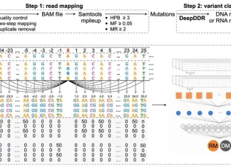 New Deep Learning Framework ‘DEMINING’ Distinguishes DNA and RNA Mutations Directly from RNA-Seq Data New Deep Learning Framework 'DEMINING' Distinguishes DNA and RNA Mutations Directly from RNA-Seq Data