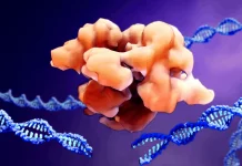 MIT Scientists Discover Thousands of New Programmable DNA-Cutting Enzymes Opening the Door to New Tools for Genome Editing MIT Scientists Discover Thousands of New Programmable DNA Cutting Enzymes Opening the Door to New Tools for Genome Editing