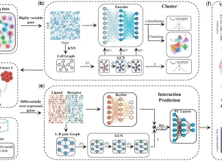 Decoding Cellular Interactions with DeepCCI: A Deep Learning Approach to Analyze Single-cell RNA Sequencing Data Decoding Cellular Interactions with DeepCCI: A Deep Learning Approach to Analyze Single-cell RNA Sequencing Data
