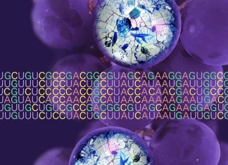 New Findings Challenge Traditional Rules of Genetics: UAA and UAG Codons Take on New Roles New Findings Challenge Traditional Rules of Genetics: UAA and UAG Codons Take on New Roles