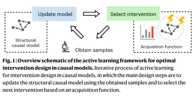 A New Active Learning Model Makes Cellular Reprogramming and Genetic Intervention Easier than Ever
